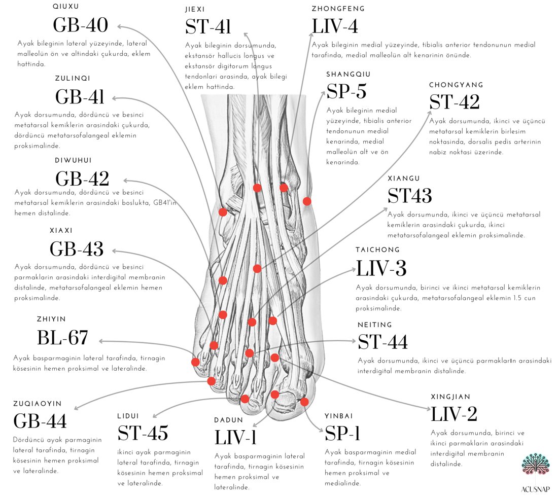 LR-2 (Xíng Jiān) on the dorsum of the foot