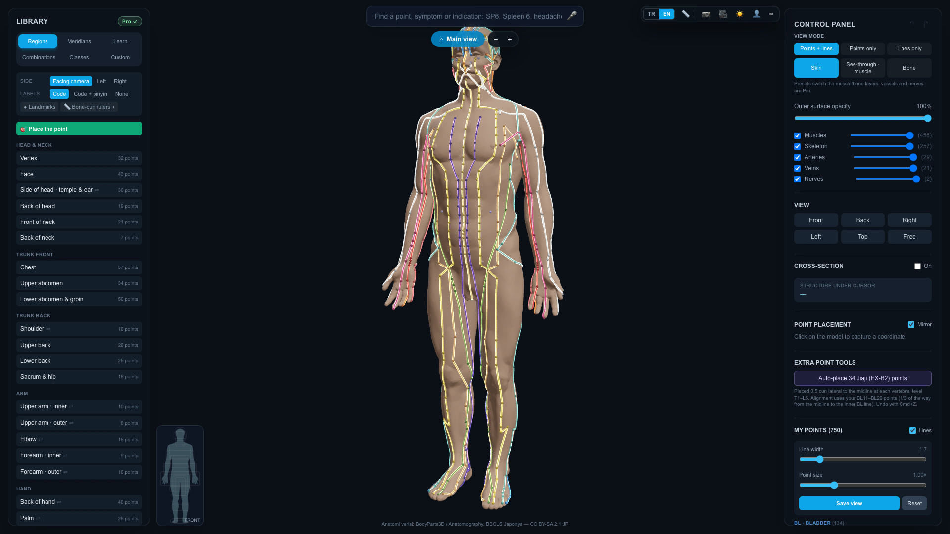 qiboo 3D Body Atlas — a real human model with acupuncture points and meridians